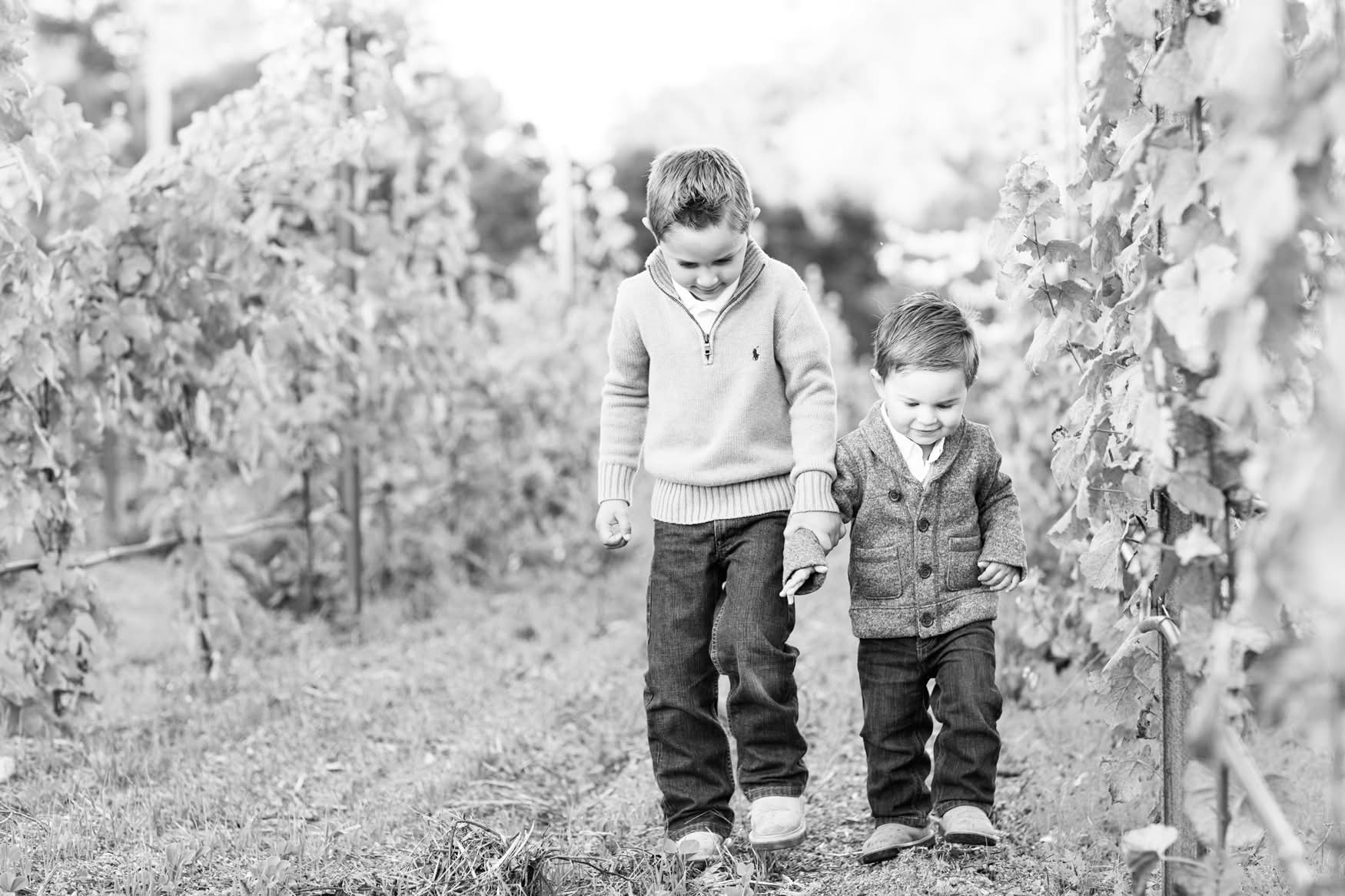 Two boys walking hand in hand through the vineyard rows